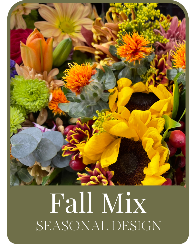Fall Seasonal Lee's